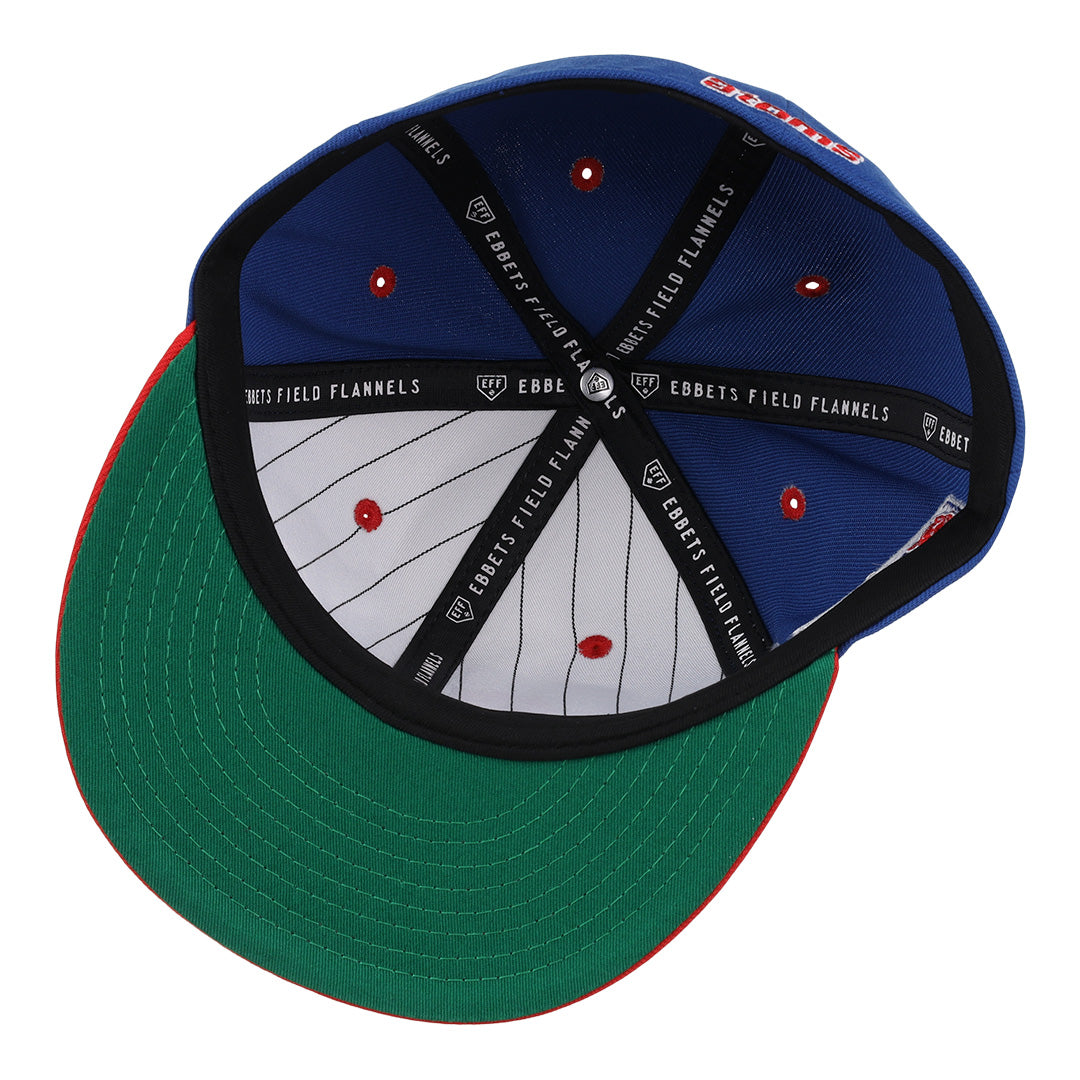 Sankei Atoms EFF DNA Fitted Ballcap