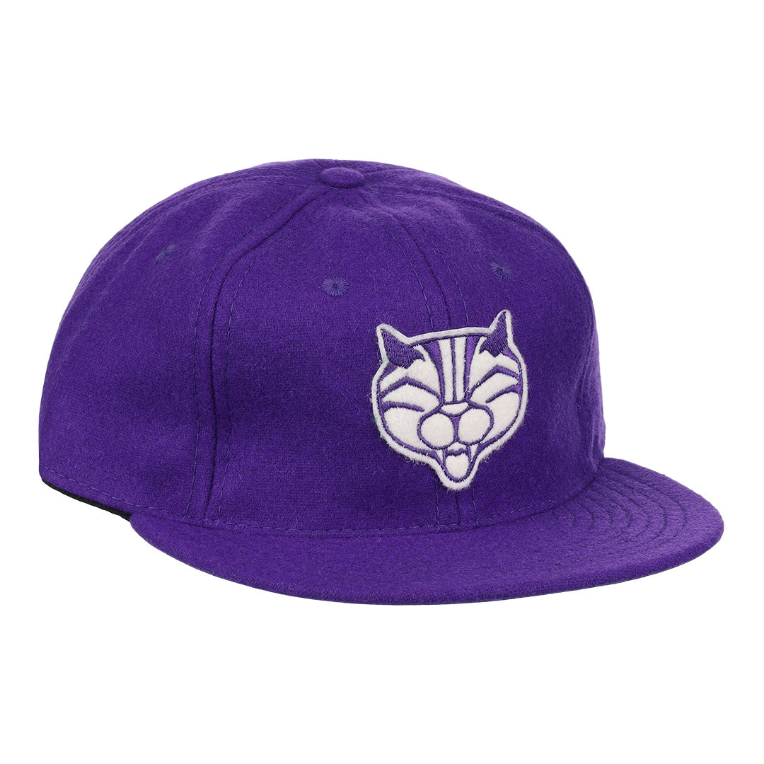 Northwestern University Mascot Vintage Ballcap