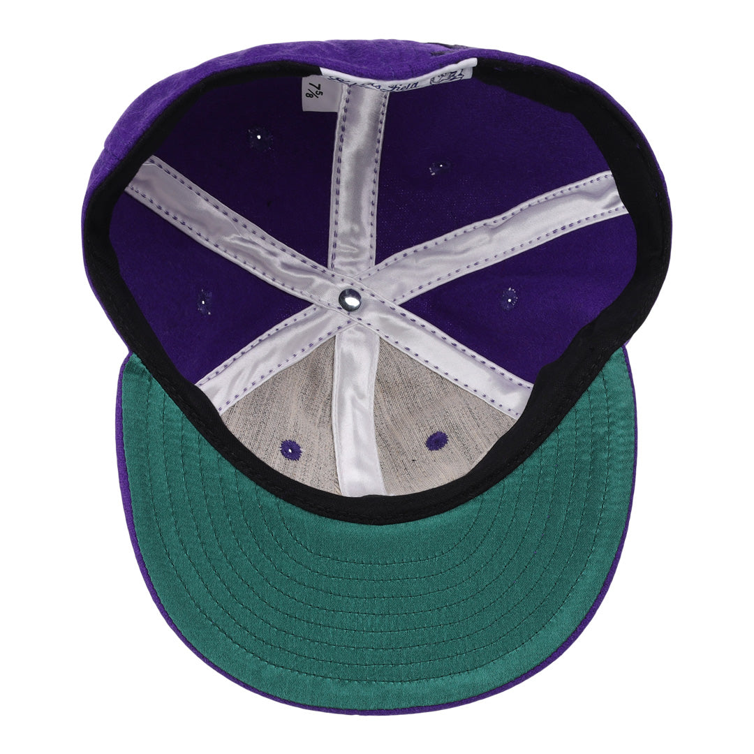 Northwestern University Mascot Vintage Ballcap