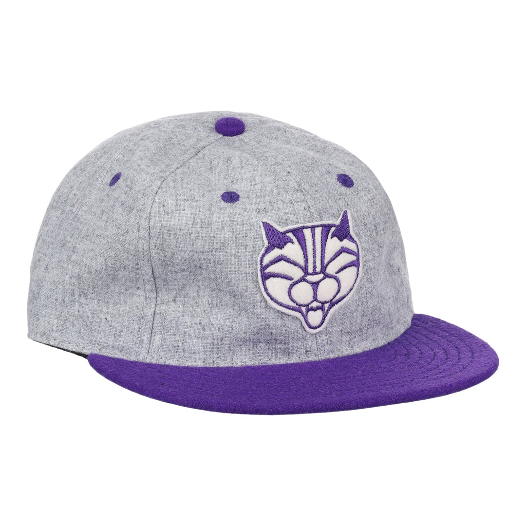 Northwestern University Mascot Vintage Ballcap - Gray