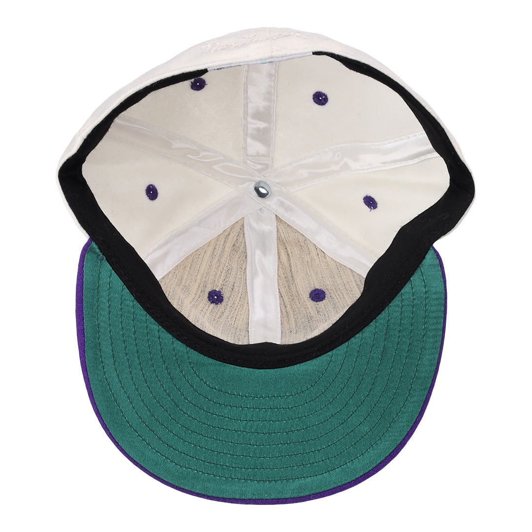 Northwestern University Vintage Ballcap