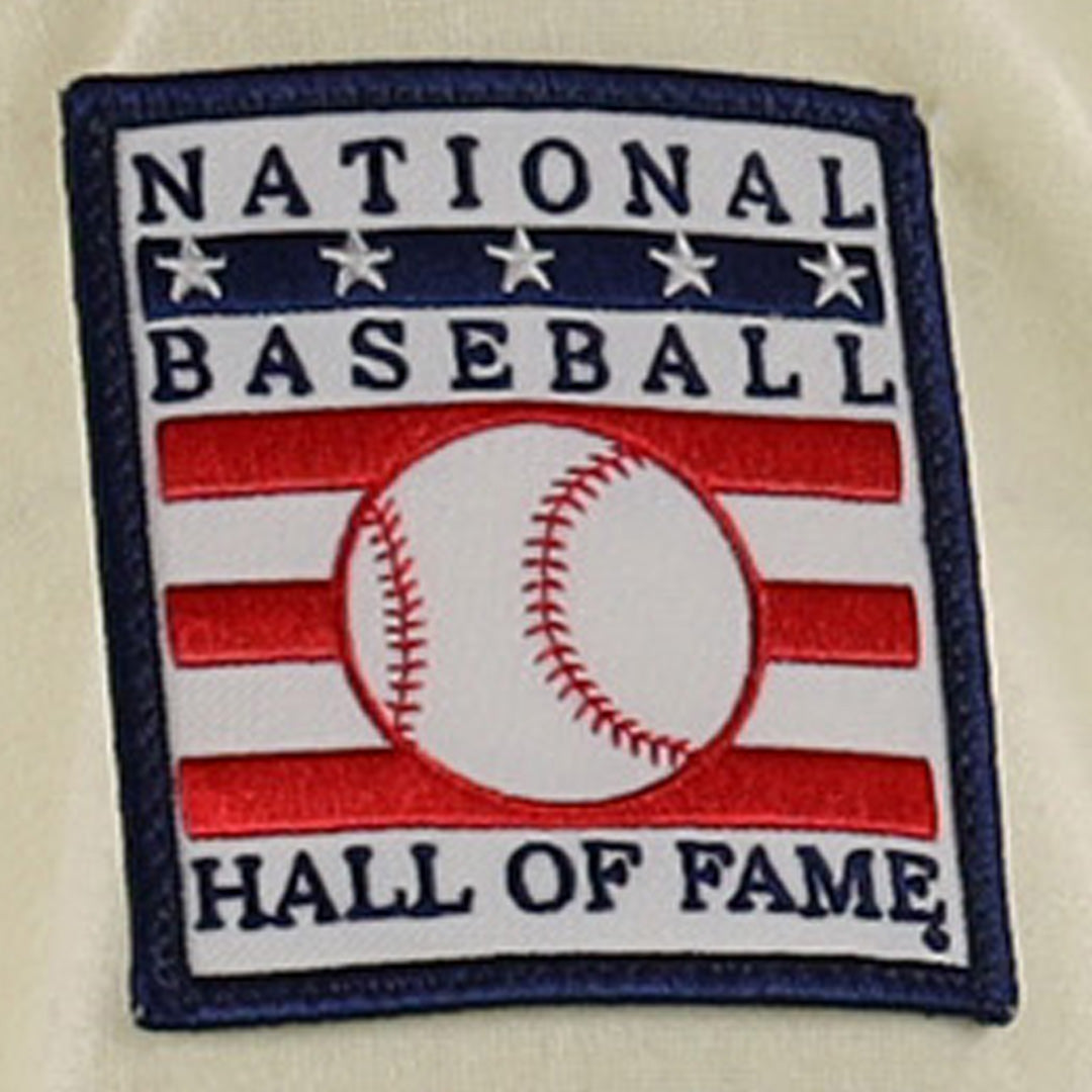 Frank Thomas Hall of Fame Jersey