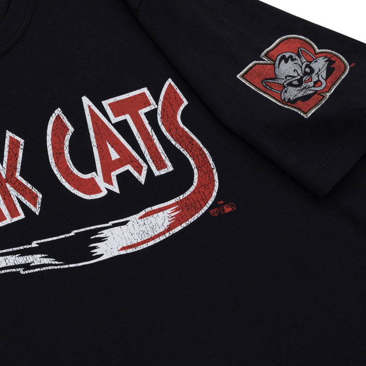 The Ebbets Field Flannels New Britain Rock Cats EFF MiLB Vintage T-Shirt features distressed white and red CATS text on the chest, a wildcat head patch on the sleeve, and is made of premium cotton.