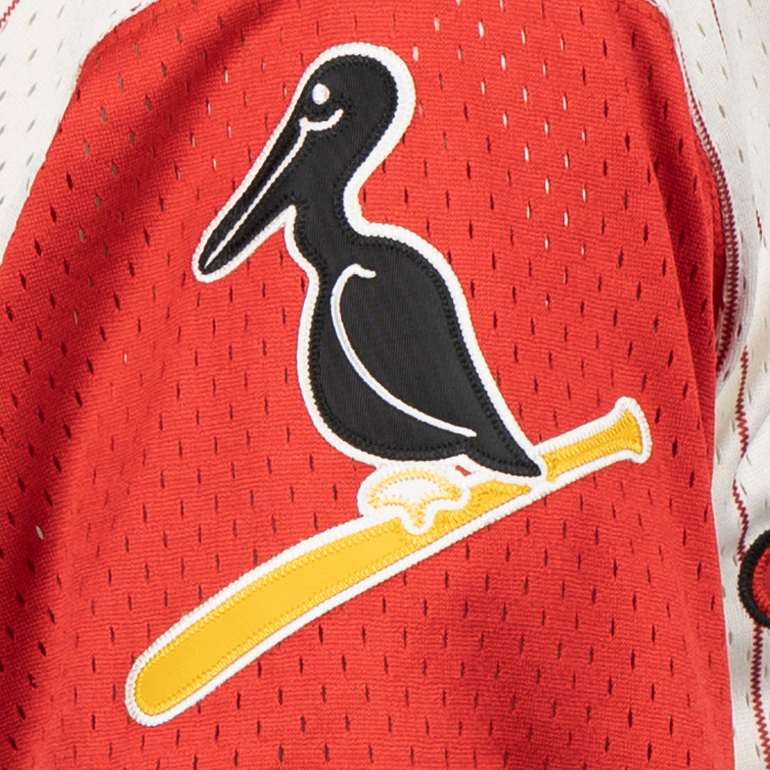 New Orleans Black Pelicans Vintage Inspired NL Pinstripe Replica V-Neck Mesh Jersey