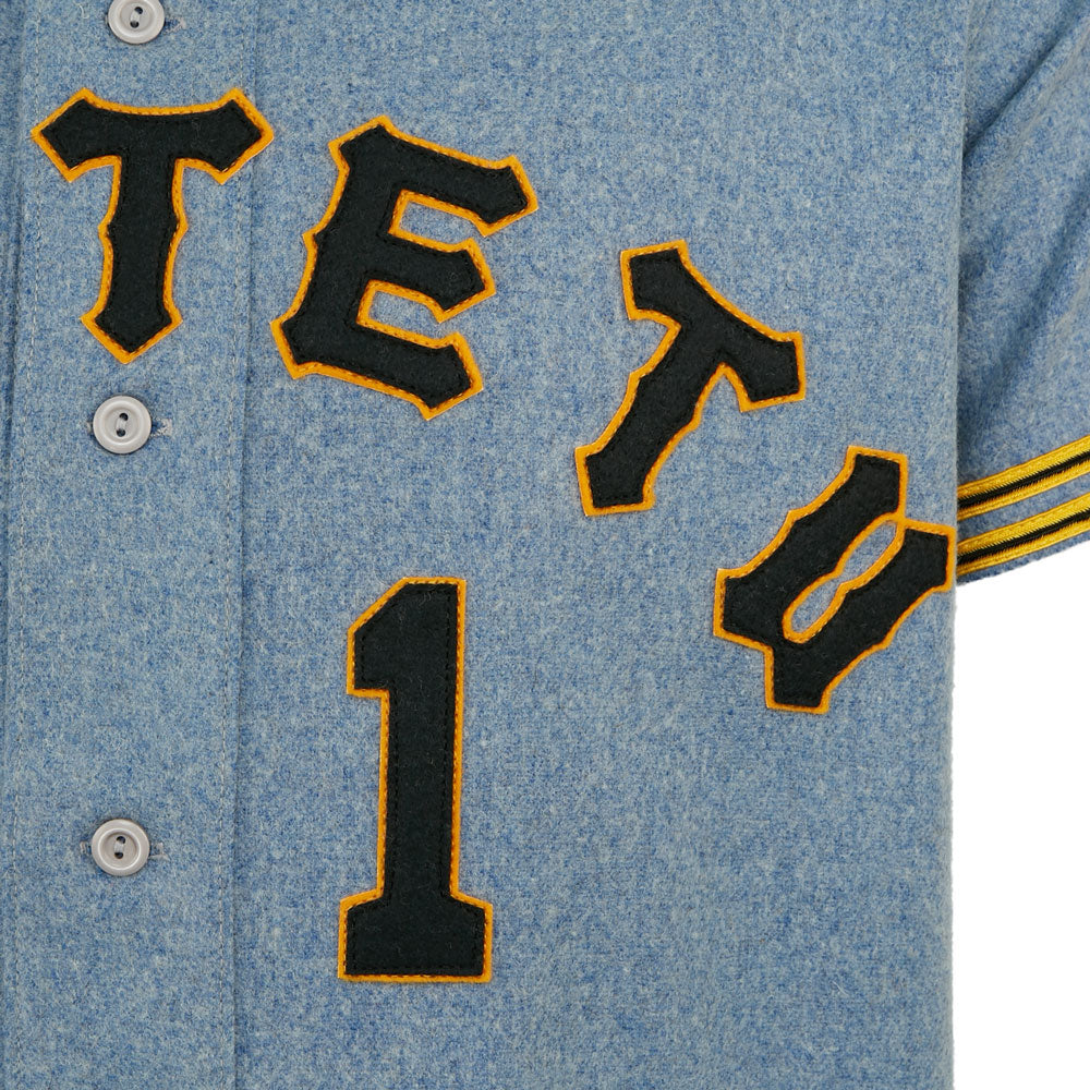 Nishitetsu Lions 1971 Road Jersey