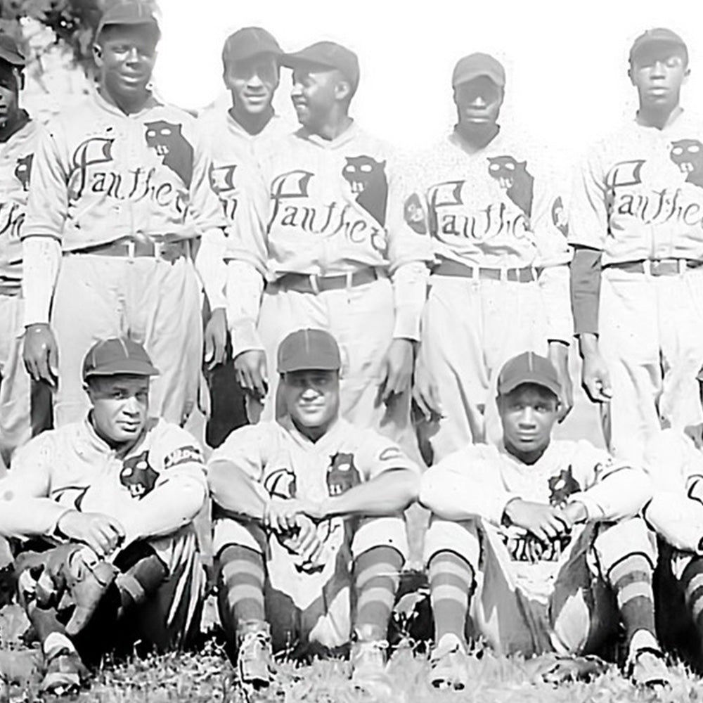 Montreal Black Panthers