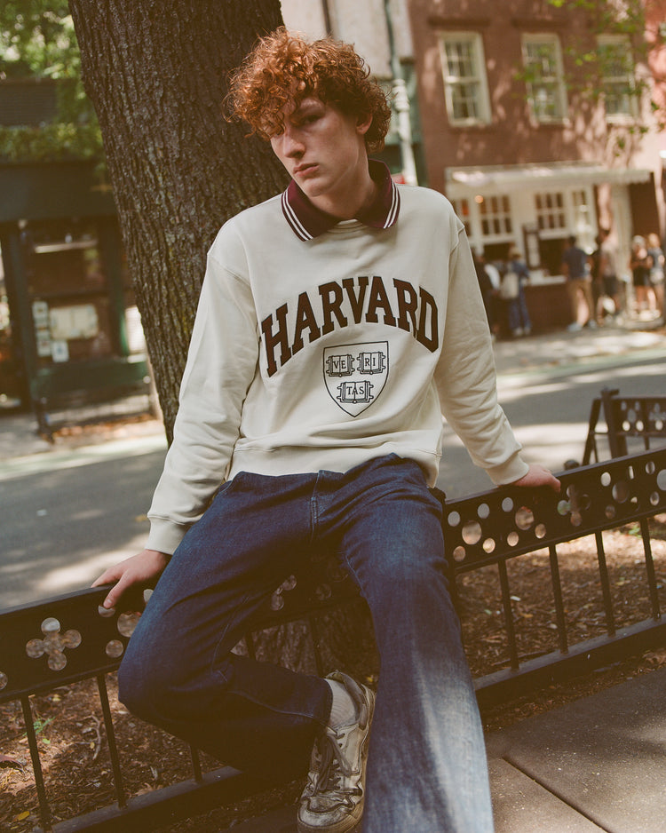 A young person with curly hair wears the Ebbets Field Harvard University Collard Crewneck Sweatshirt—an iconic Ivy League style—paired with jeans, sitting on a metal fence outdoors amidst trees and brick buildings.
