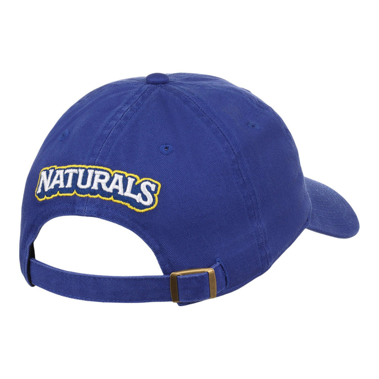The Northwest Arkansas Naturals MiLB Dad Ballcap by Ebbets Field is a blue cap seen from the back, with 