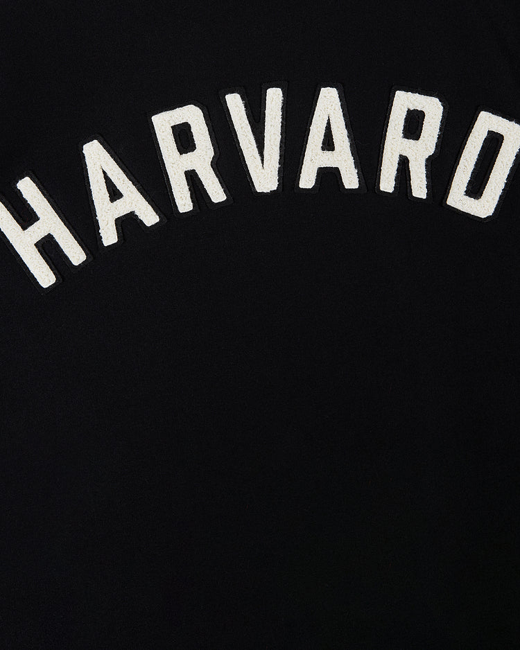 Black background with “HARVARD” in bold, white, arched capitals—centered like a classic Harvard letterman. Inspired by the Harvard University Wool and Leather Varsity Jacket from Ebbets Field.