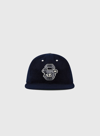 The EFF Penn State University Nittany Lions Vintage Ballcap, featuring a lion logo and “Penn State” on navy blue, is shown on a plain light gray background—a classic tribute to the team’s baseball tradition.