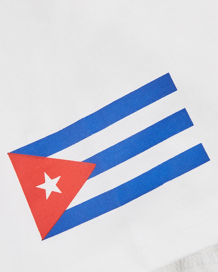 A close-up of the Cuba National Team Short Sleeve Graphic Tee by Ebbets Field, featuring blue and white stripes with a red triangle and white star—ideal for fans of vintage baseball shirts.