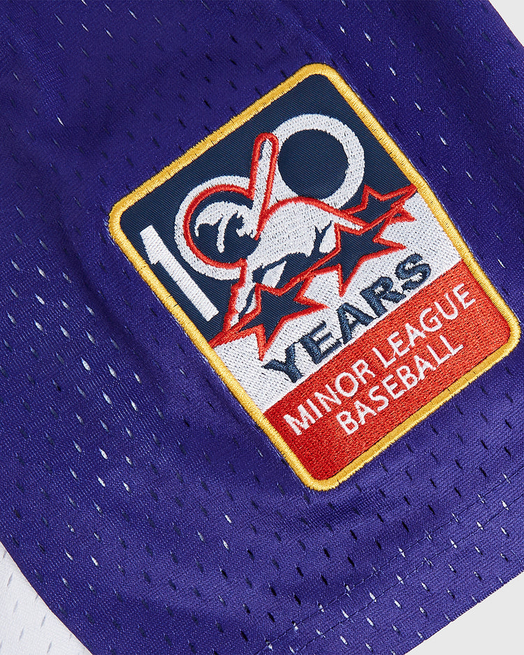 A close-up of a commemorative patch on purple mesh fabric from the Randy Johnson El Paso Diablos Button Up Mesh Jersey by Ebbets Field. The patch reads 