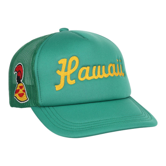 Hawaii Islanders EFF DNA Trucker