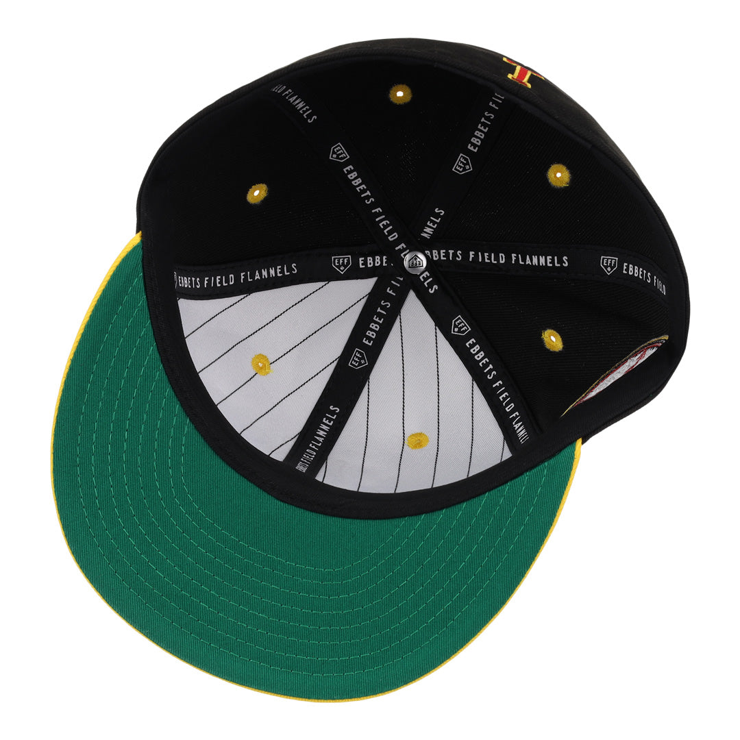 Topeka Owls EFF DNA Fitted Ballcap
