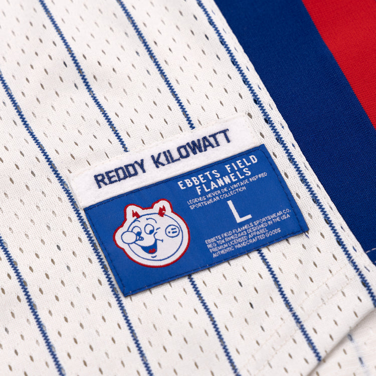 A close-up of the Reddy Kilowatt EFF Pinstripe Button Down Jersey by EFF, showing a label with a cartoon face, brand details, and size (L) on the white jersey with blue pinstripes.