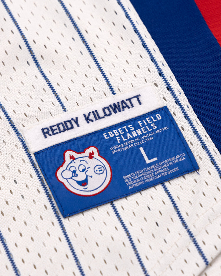 A close-up of the Reddy Kilowatt EFF Pinstripe Button Down Jersey by EFF, showing a label with a cartoon face, brand details, and size (L) on the white jersey with blue pinstripes.