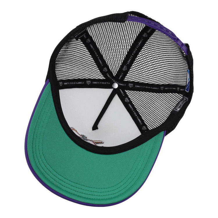 The EFF El Paso Diablos EFF MiLB Vintage Foam Trucker hat is shown from underneath, highlighting its green brim, black mesh, purple trim, fly graphic on the inside front panel, and interior black taping with white text.