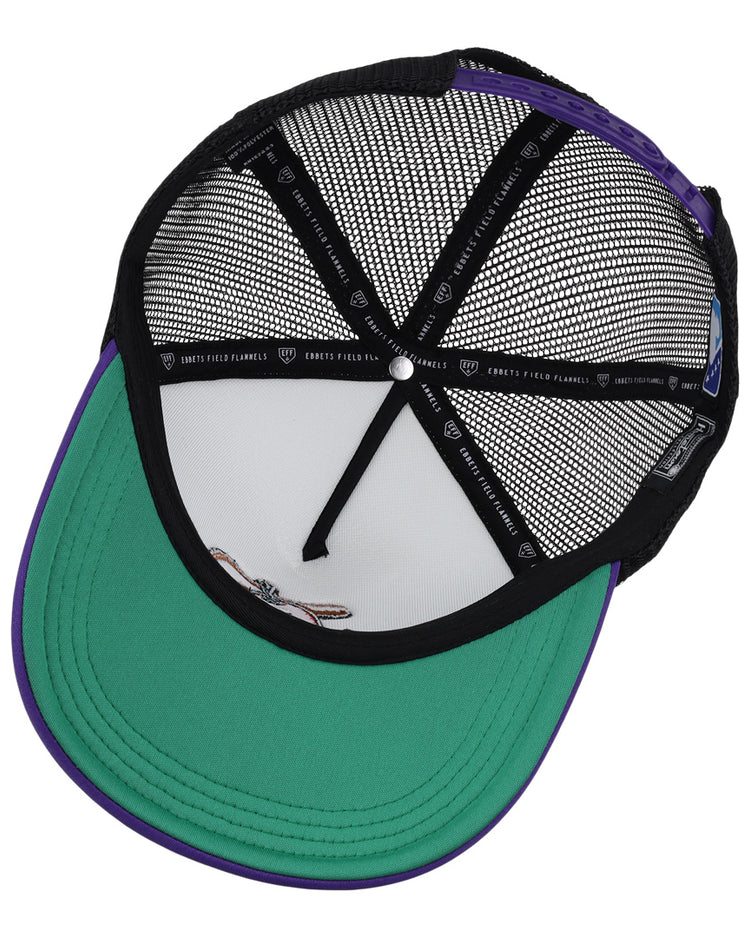 The EFF El Paso Diablos EFF MiLB Vintage Foam Trucker hat is shown from underneath, highlighting its green brim, black mesh, purple trim, fly graphic on the inside front panel, and interior black taping with white text.