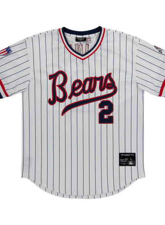 The Denver Bears EFF MiLB Vintage V-Neck Baseball Jersey features thin blue pinstripes, “Bears” in red script across the chest, a large number 2, and red, blue, and white sleeve/collar accents—a classic from EFF.