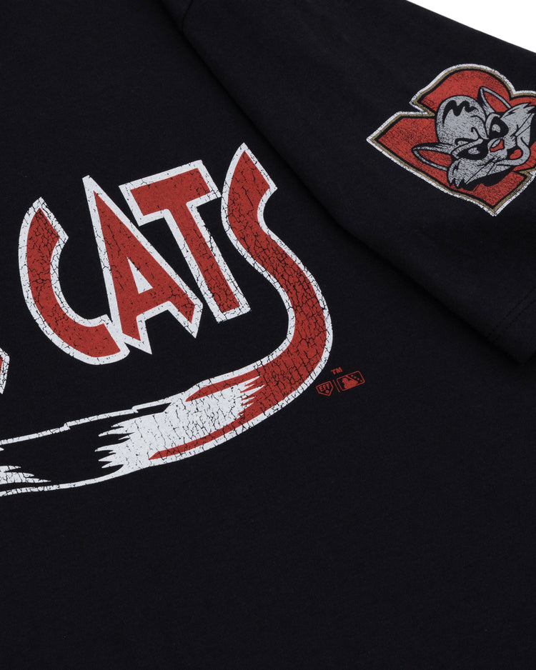 The Ebbets Field Flannels New Britain Rock Cats EFF MiLB Vintage T-Shirt features distressed white and red CATS text on the chest, a wildcat head patch on the sleeve, and is made of premium cotton.