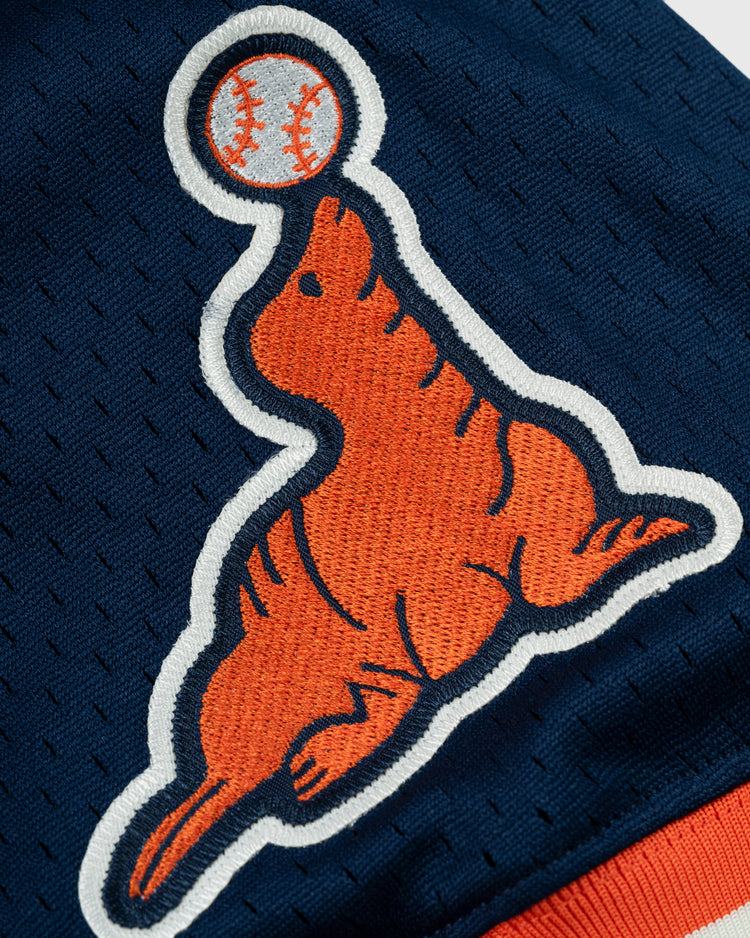 San Francisco Seals Mesh V-Neck Jersey