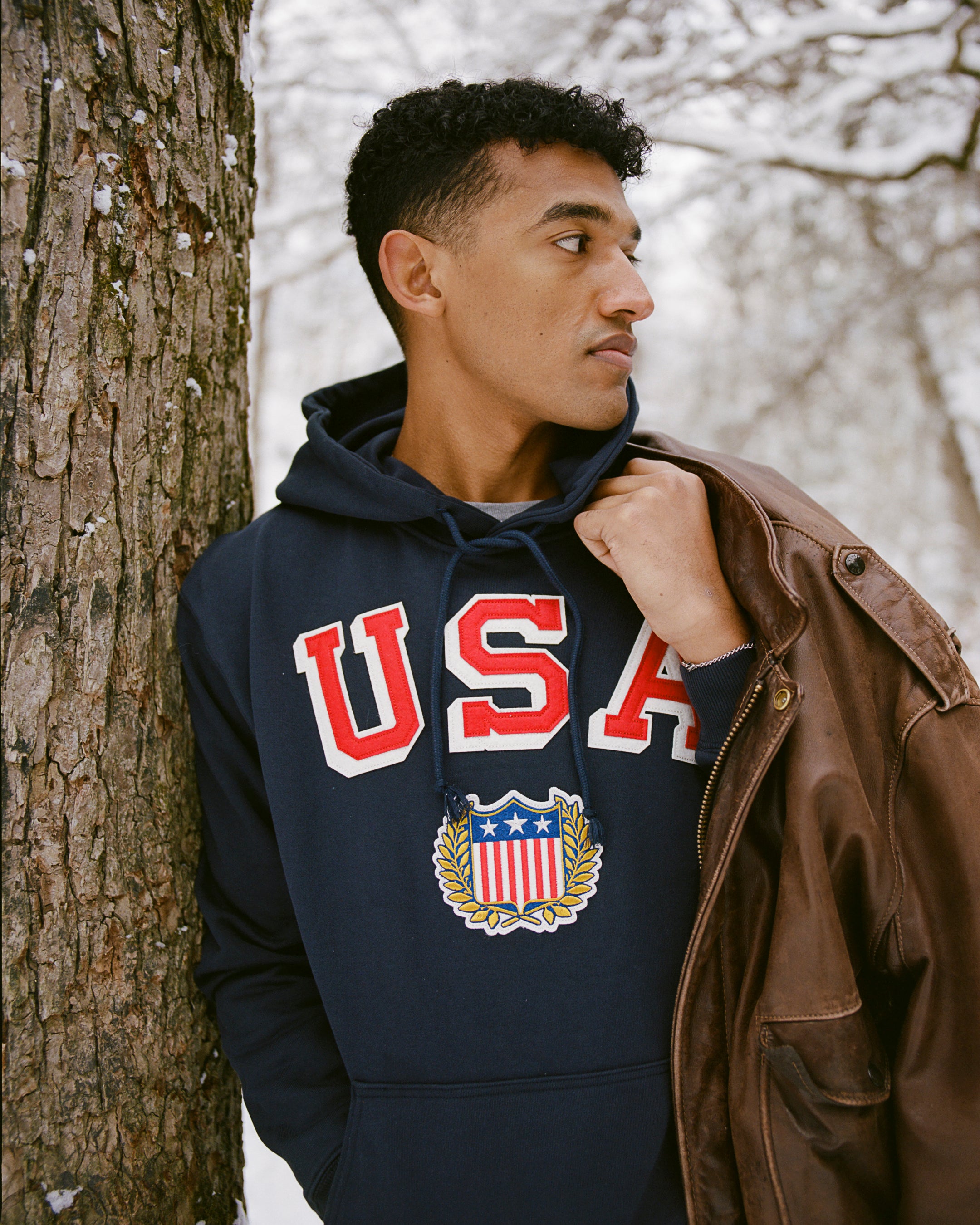 The USA Collection – Ebbets Field
