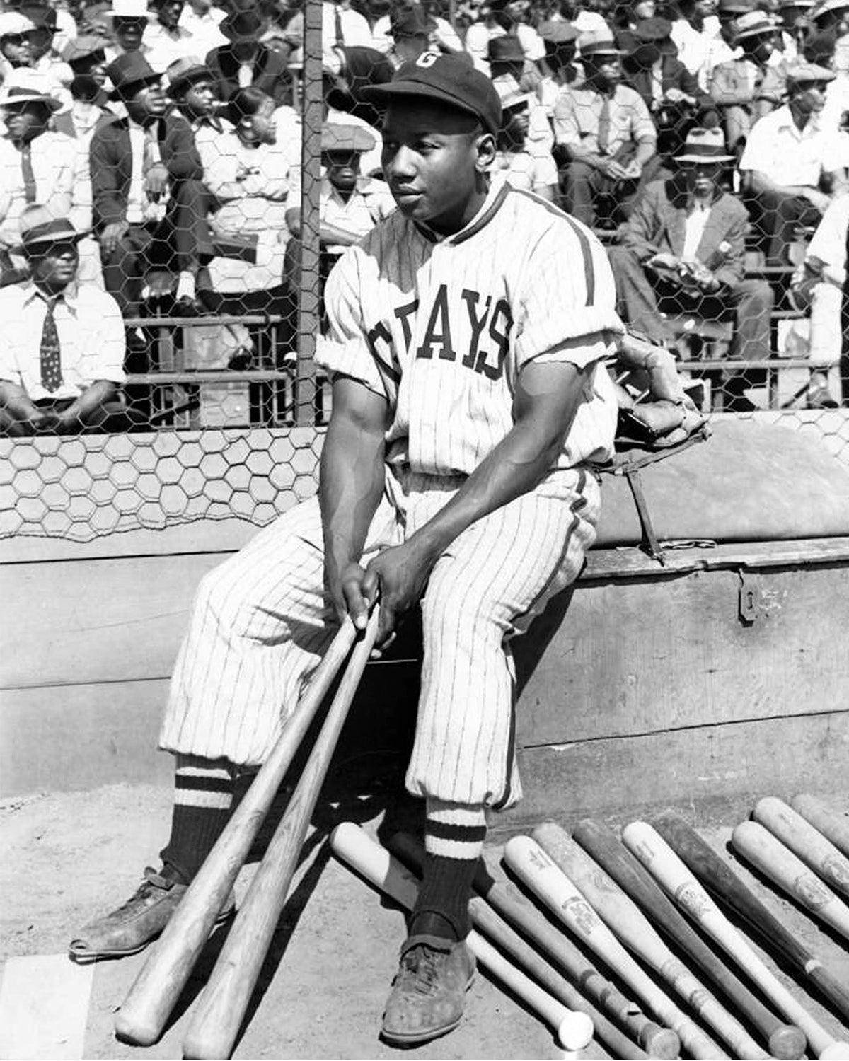Ebbets Authentic – Ebbets Field