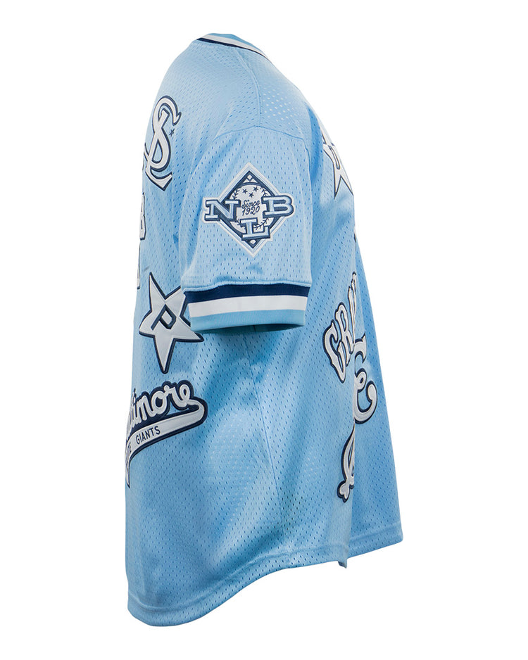 The EFF Negro League Allover Vintage Inspired NL Replica V-Neck Mesh Jersey in light blue features white and dark blue star and text patches, short sleeves, shown from a side angle on a mannequin.