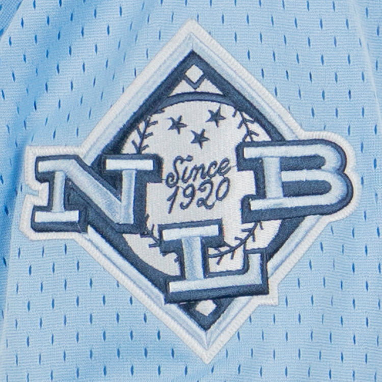 The EFF Negro League Allover Vintage Inspired NL Replica V-Neck Mesh Jersey in light blue features a patch with NLB over a white baseball in a diamond, Since 1920 script, and classic perforated fabric evoking vintage Negro Leagues jerseys.