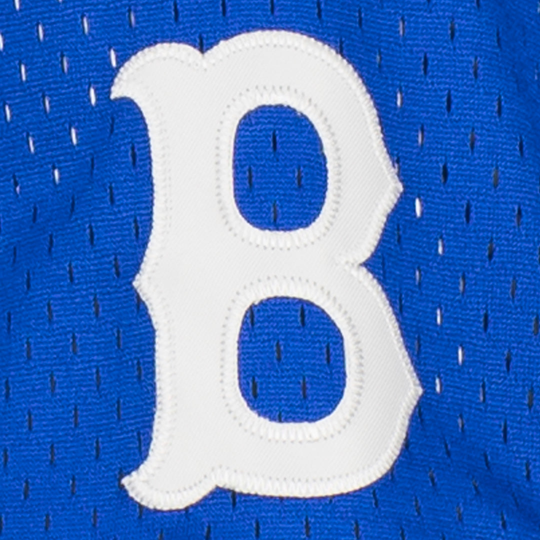 Brooklyn Royal Giants Vintage Inspired NL Pinstripe Replica V-Neck Mesh Jersey