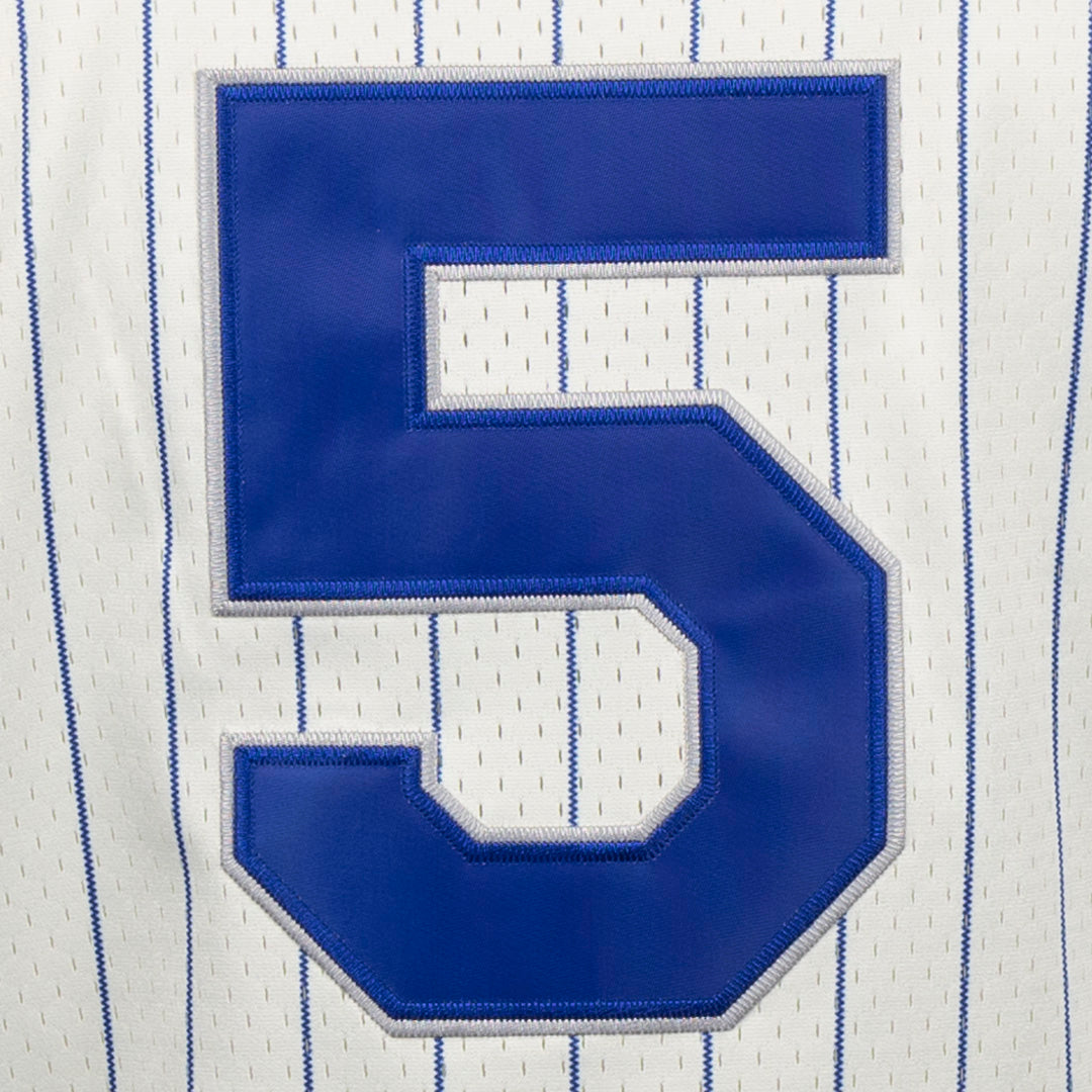 Brooklyn Royal Giants Vintage Inspired NL Pinstripe Replica V-Neck Mesh Jersey