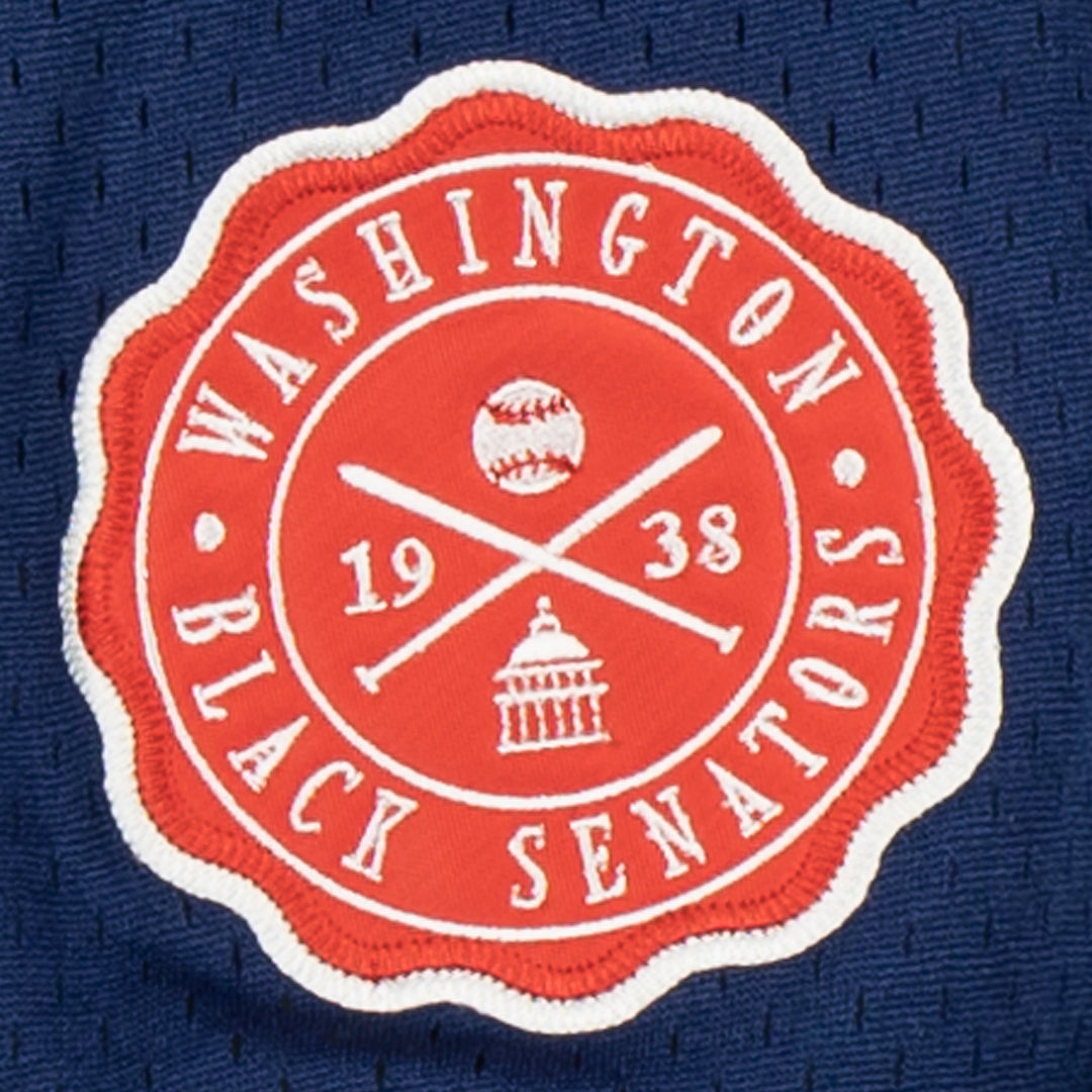 Washington Black Senators Vintage Inspired NL Pinstripe Replica V-Neck Mesh Jersey