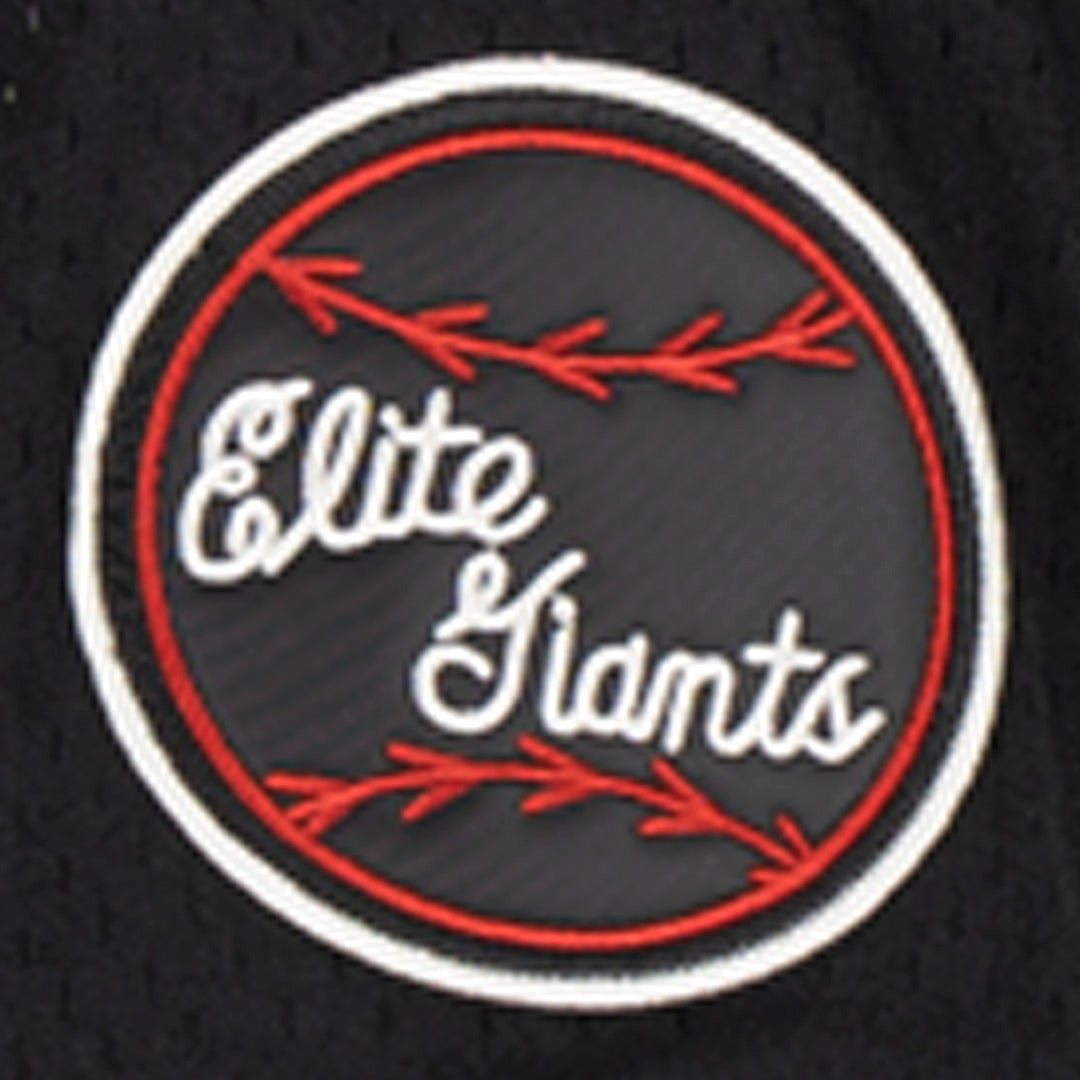 Baltimore Elite Giants Vintage Inspired NL Pinstripe Replica V-Neck Me –  Ebbets Field Flannels