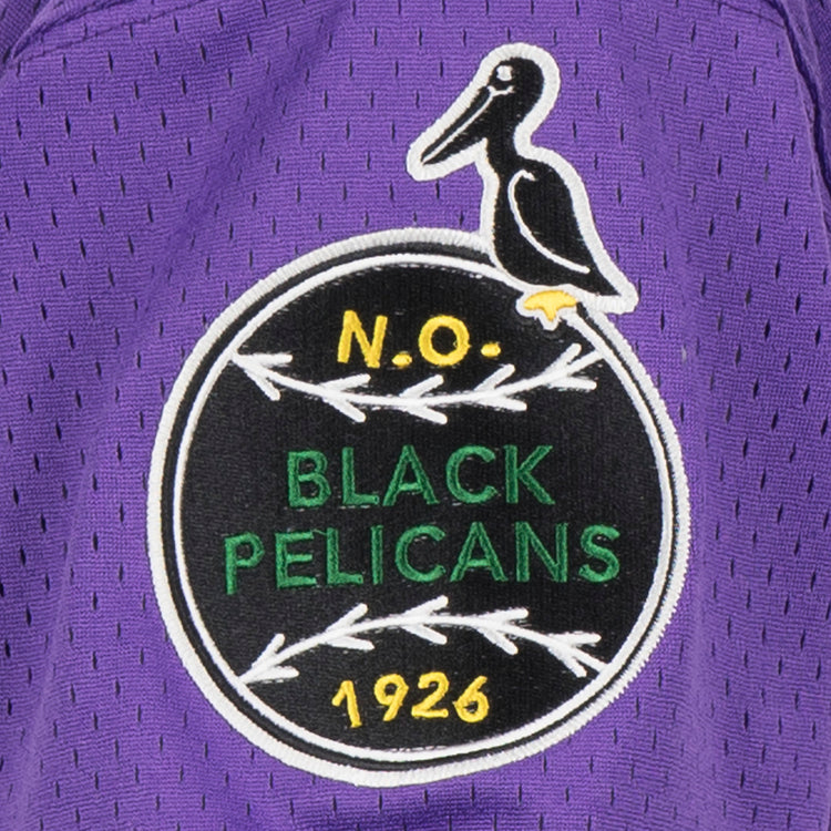 An EFF New Orleans Black Pelicans Vintage Inspired NL Replica V-Neck Mesh Jersey features a purple patch with a black pelican, “N.O. BLACK PELICANS 1926,” and white branches—perfect for fans of vintage style and the team’s historic legacy.