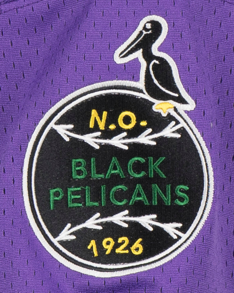 An EFF New Orleans Black Pelicans Vintage Inspired NL Replica V-Neck Mesh Jersey features a purple patch with a black pelican, “N.O. BLACK PELICANS 1926,” and white branches—perfect for fans of vintage style and the team’s historic legacy.