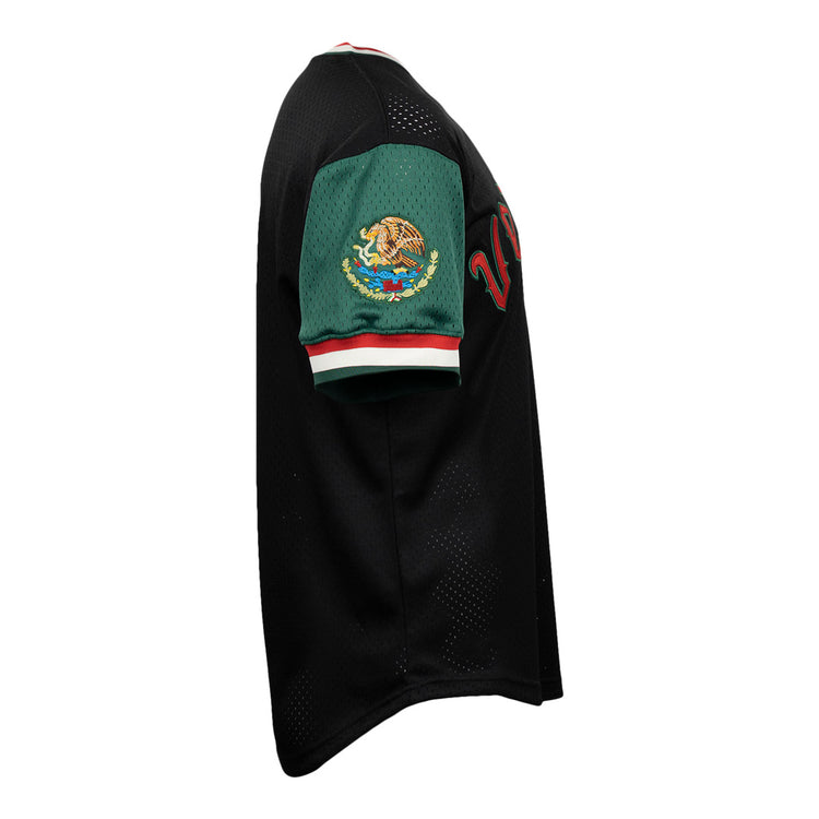 The EFF Veracruz Azules Vintage Inspired Replica V-Neck Mesh Jersey features a side-view black design with a green sleeve bearing the Mexican national emblem and red, white, and green cuff trim. Partial red lettering appears on the front, echoing classic Mexican League styles.