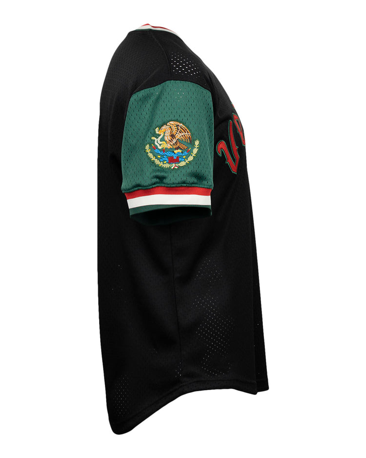 The EFF Veracruz Azules Vintage Inspired Replica V-Neck Mesh Jersey features a side-view black design with a green sleeve bearing the Mexican national emblem and red, white, and green cuff trim. Partial red lettering appears on the front, echoing classic Mexican League styles.