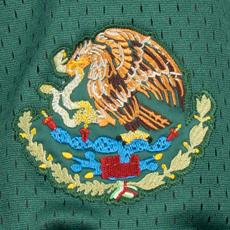 The EFF Veracruz Azules Vintage Inspired Replica V-Neck Mesh Jersey features a vibrant embroidered Mexican coat of arms on green mesh, echoing the proud spirit of the Mexican League.