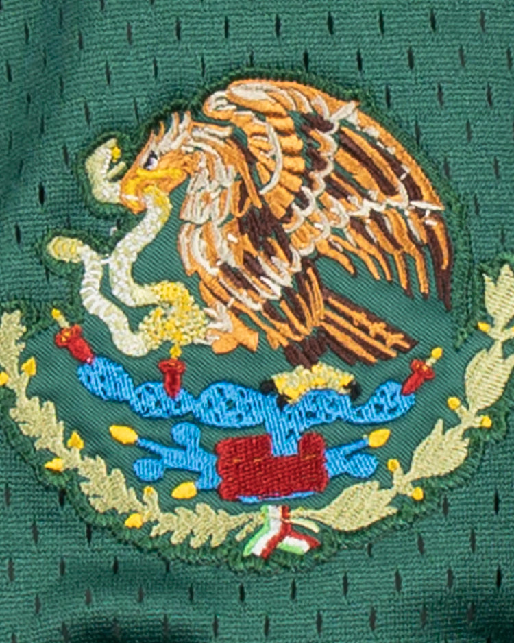 The EFF Veracruz Azules Vintage Inspired Replica V-Neck Mesh Jersey features a vibrant embroidered Mexican coat of arms on green mesh, echoing the proud spirit of the Mexican League.