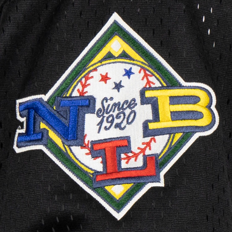 Add this embroidered diamond patch—featuring a baseball, Since 1920, and colorful N, L, B letters—to your EFF Negro League Allover Vintage Inspired NL Replica V-Neck Mesh Jersey (Black) for a classic look.