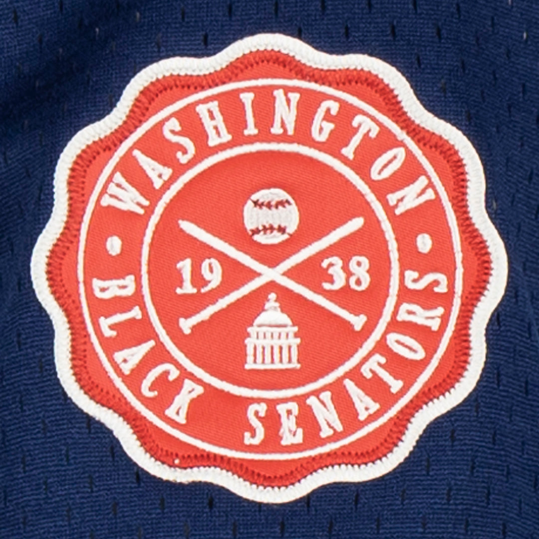Washington Black Senators, Vintage Baseball Tees